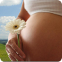 icon ru.fedr.pregnancy(Hamilelik Takvimi)