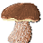 icon Mushroomizer(Mantarlaştırıcı
) 3.0.13