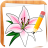 icon Draw Flowers(Çiçekler nasıl çizilir) 5.2
