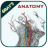 icon Anatomy(Gray's Anatomy - Anatomy Atlas
) 5.0