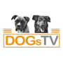 icon DogsTV (TV'de DogsTV XVPN
)
