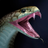 icon Snake Wallpapers(Yılan Duvar Kağıtları) 10.21.1004.snake
