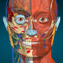 icon AnatomyLearning(Anatomi Öğrenme - 3D Anatomi)