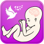 icon Pregnancy Guide(Hamilelik Kılavuzu)