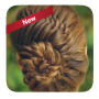 icon Easy braid hairstyles (Kolay örgü saç modelleri)