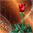 icon Roses Live Wallpaper(Güller Canlı Duvar Kağıdı) 2.8