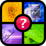 icon Guess the word ~ 4 pics 1 word (Kelimeyi tahmin ~ 4 pics 1 kelime)