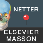icon Mémofiches Anatomie Netter (Netter Anatomi Memo Pedleri)