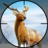 icon Real Deer Hunting: Zoo Hunter(Wild Dino Hunter: Av Oyunu) 5.6