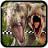 icon JurassicRace(Jurassic Yarışı) 20.0