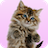 icon Dancing, Purring Cat(Konuşan kedi. Danslar ve Purrs.) 1.8.0