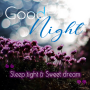 icon Good Night(İyi geceler)