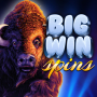 icon Big Wins Spins(Big Wins Spins
)