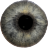 icon Eye Diagnosis(Göz teşhisi) 1.3.15