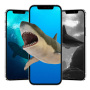 icon shark wallpaper(Köpekbalığı duvar kağıdı
)