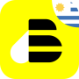 icon BEES(BEES Uruguay
)