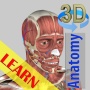 icon 3D Bones and Organs Anatomy(3D Kemikler ve Organlar (Anatomi))