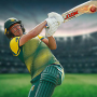 icon real world T20 cricket 2022 ()