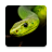 icon Snake Wallpapers(Yılan Duvar Kağıtları) 4.0.snake