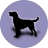 icon Dog(Köpek Irkları) 2.6.3