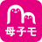 icon 2.6.4