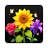 icon Blossom Bliss(Blossom Bliss: Sort&Design) 1.1.3