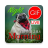 icon GIF Afrikaans Morning & Night(Afrikaans Sabah Gece Gifleri) 2.20.05