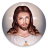 icon Jesus Wallpapers & Audio Bible(İsa Duvar Kağıtları ve Ses İncil
) 1.02