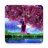 icon Sakura Garden Live Wallpaper(Kiraz Çiçeği Canlı Duvar Kağıdı) 1.0.10