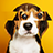 icon Stripes(Çizgileri: Yapboz Bulmacalar
) 1.11