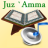 icon com.chaks.juzamma.audioplugin.ghamidi(Ses Paketi (Al-Ghamidi)) 1.0