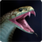 icon Snake Wallpapers(Yılan Duvar Kağıtları) 1.0.snake