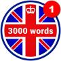 icon 3000 Words(3000 dolar: İngilizce'ye)