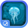 icon Follow the Jellyfish(Denizanası izleyin!)