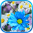 icon Daisies Flowers Live Wallpaper(Papatyalar Çiçekler Canlı Duvar Kağıdı) 1.0.2