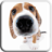 icon Dog Licks Screen LWP (KÖPEK LİSKLER EKRAN LWP ÜCRETSİZ) 1.2