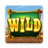 icon Wild West(Wild West
) 1.1