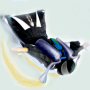 icon WingsuitSimulator(Wingsuit Simülatörü)