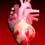 icon Circulatory System 3D Anatomy (Dolaşım Sistemi 3D Anatomi)