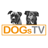 icon DogsTV(TV'de DogsTV XVPN
) 2.4.1
