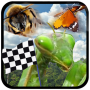icon Insect Race (Böcek yarışı)