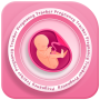 icon Pregnancy(Hafta Hafta Gebelik Takibi
)