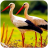 icon The White Stork(Beyaz Leylek
) 1.0.4