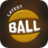 icon Latest Ball Race(En Yeni BallRace-Color BallRace) 1.7