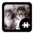 icon Cats & Kittens Puzzle(Kediler ve Yavru Bulmaca) 1.5.1