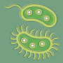 icon Bacteria(Bakteriler: Türler, Enfeksiyonlar)