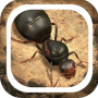 icon The Ants Underground Kingdom Beginner Guide(Karıncalar Yeraltı Krallığı Başlangıç ​​Rehberi
)