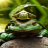 icon Green Frog Live Wallpaper(Yeşil Kurbağa Canlı Duvar Kağıdı) 2
