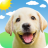 icon Weather Puppy(Weather Puppy - Uygulama ve Widget) 5.8.8