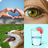 icon 4 Fotos 1 Palabra(4 Resim 1 Kelime) 9.14.3z